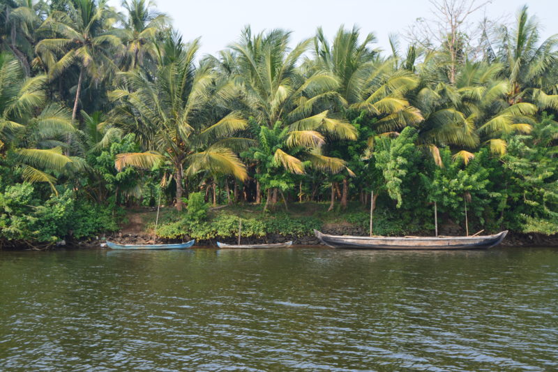 Kozhikode Kerala Backwaters Dominique Travels