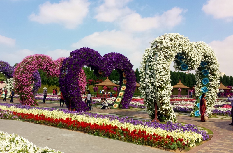 Dubai Miracle Garden | Dominique travels